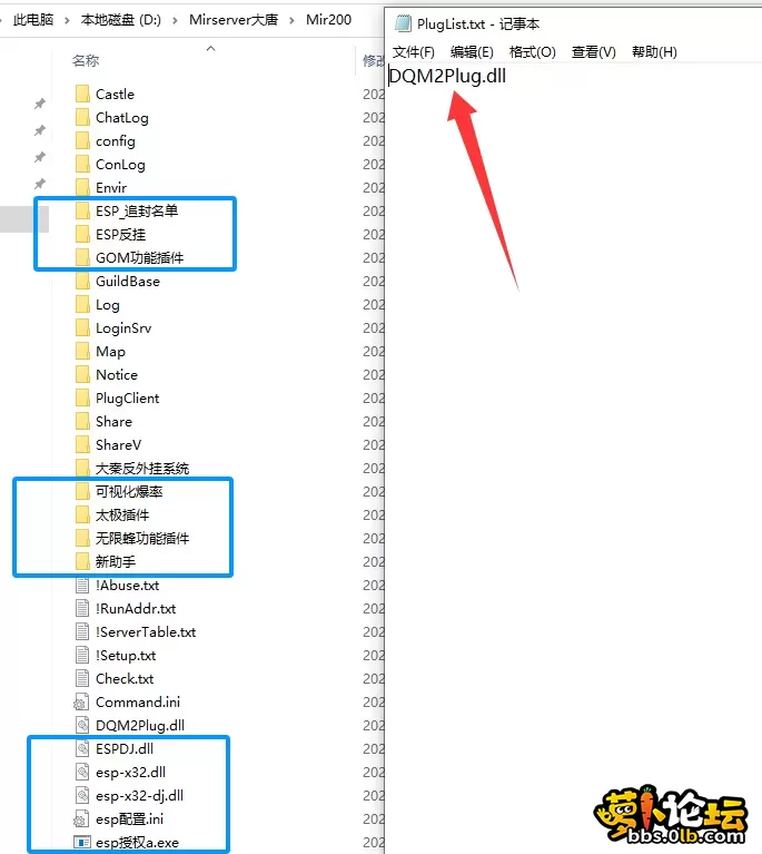 5.webp