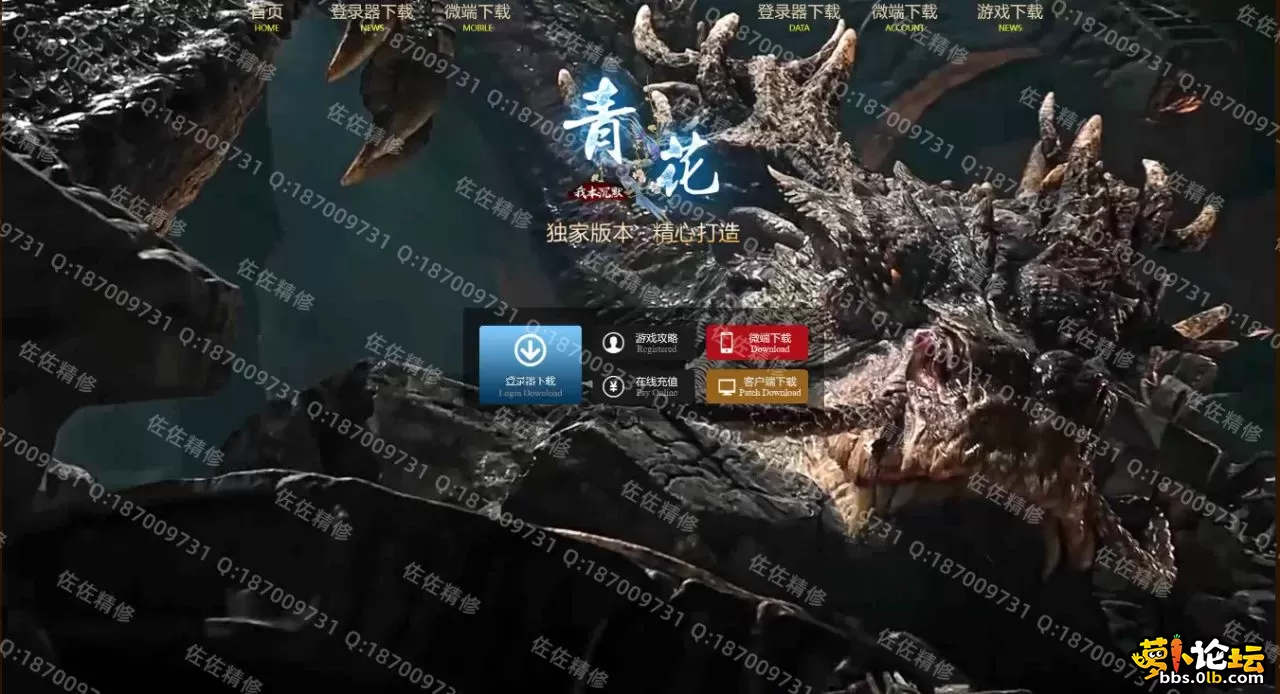 网站1.webp