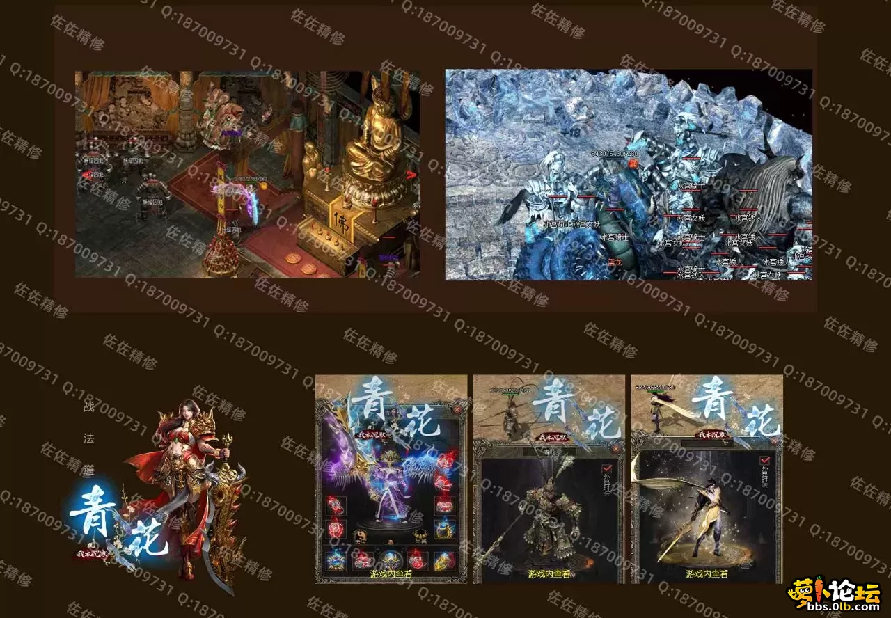 网站3.webp