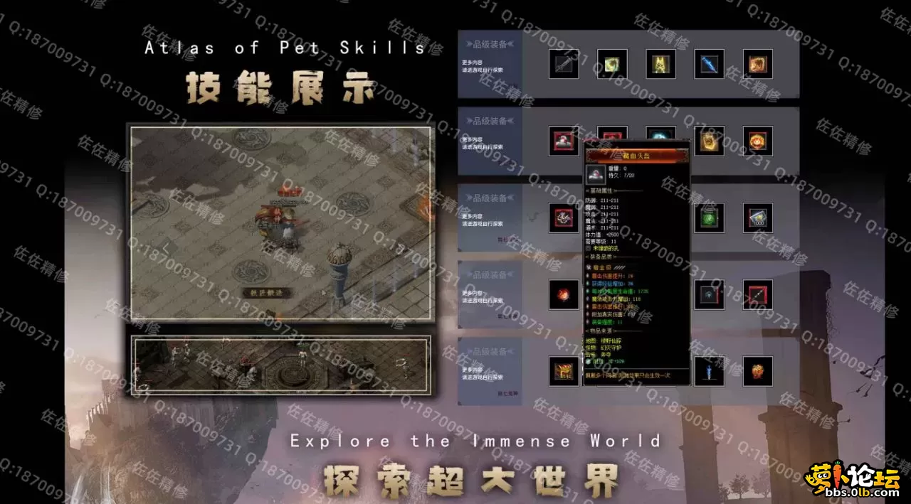 网站2.webp