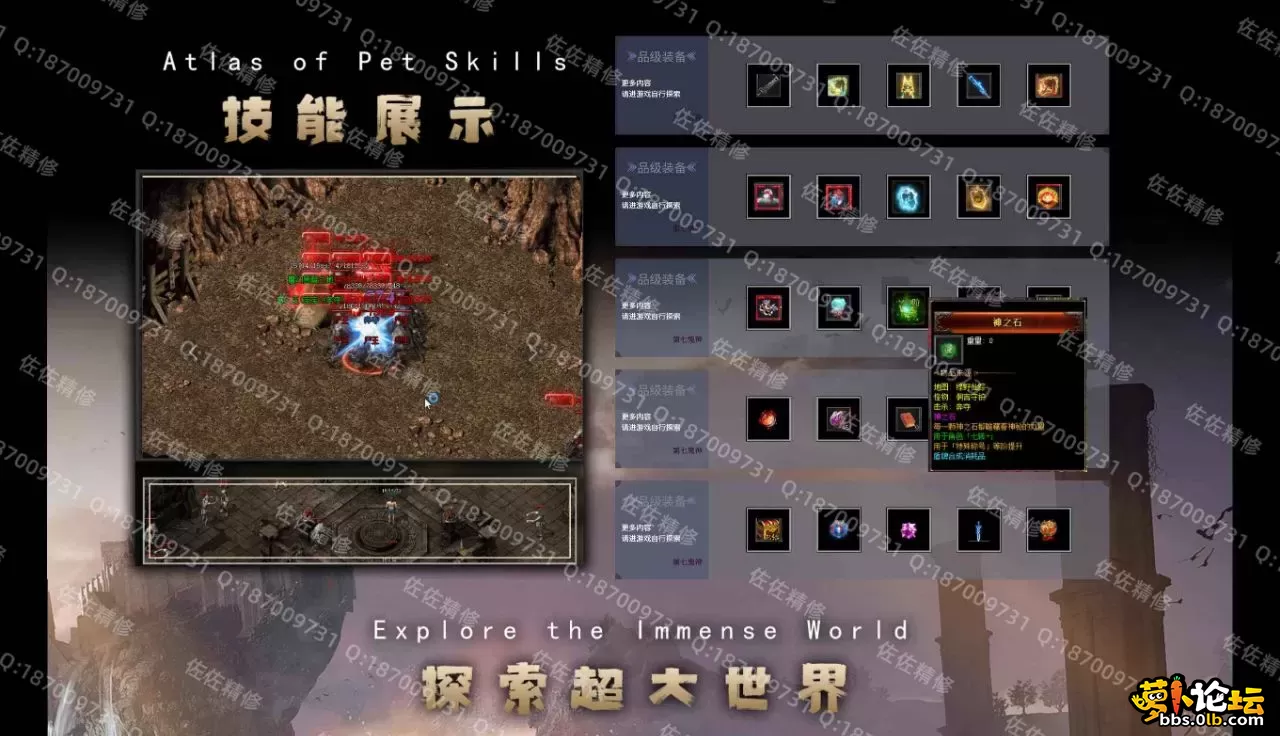 网站3.webp