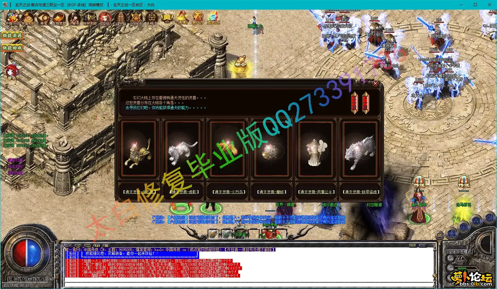 14.webp